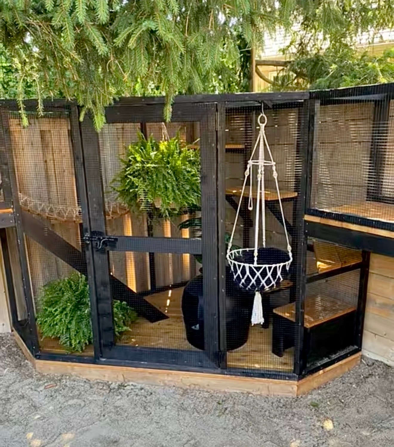 Custom catio build poolside