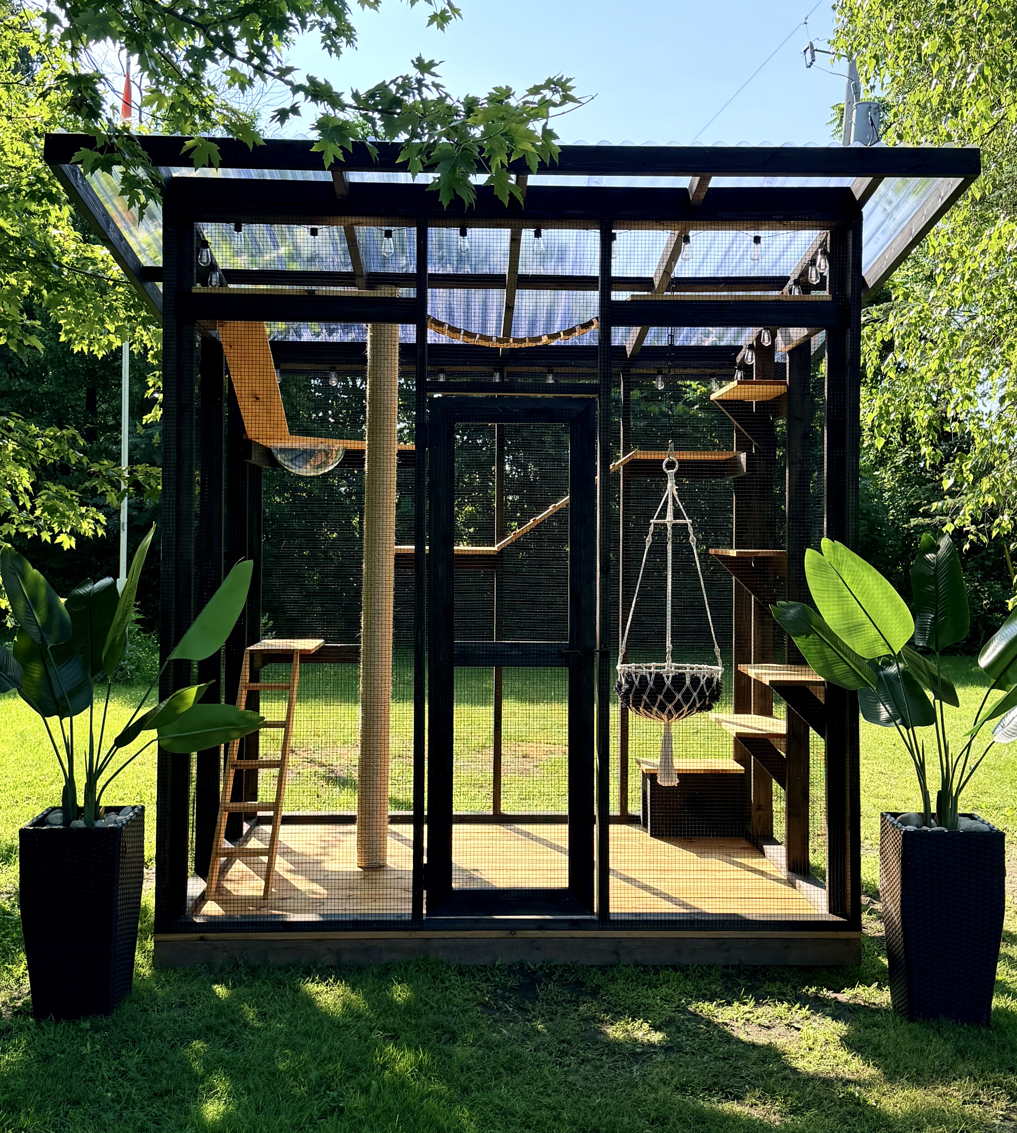 Luxury black frame catio exterior daytime with cat inside