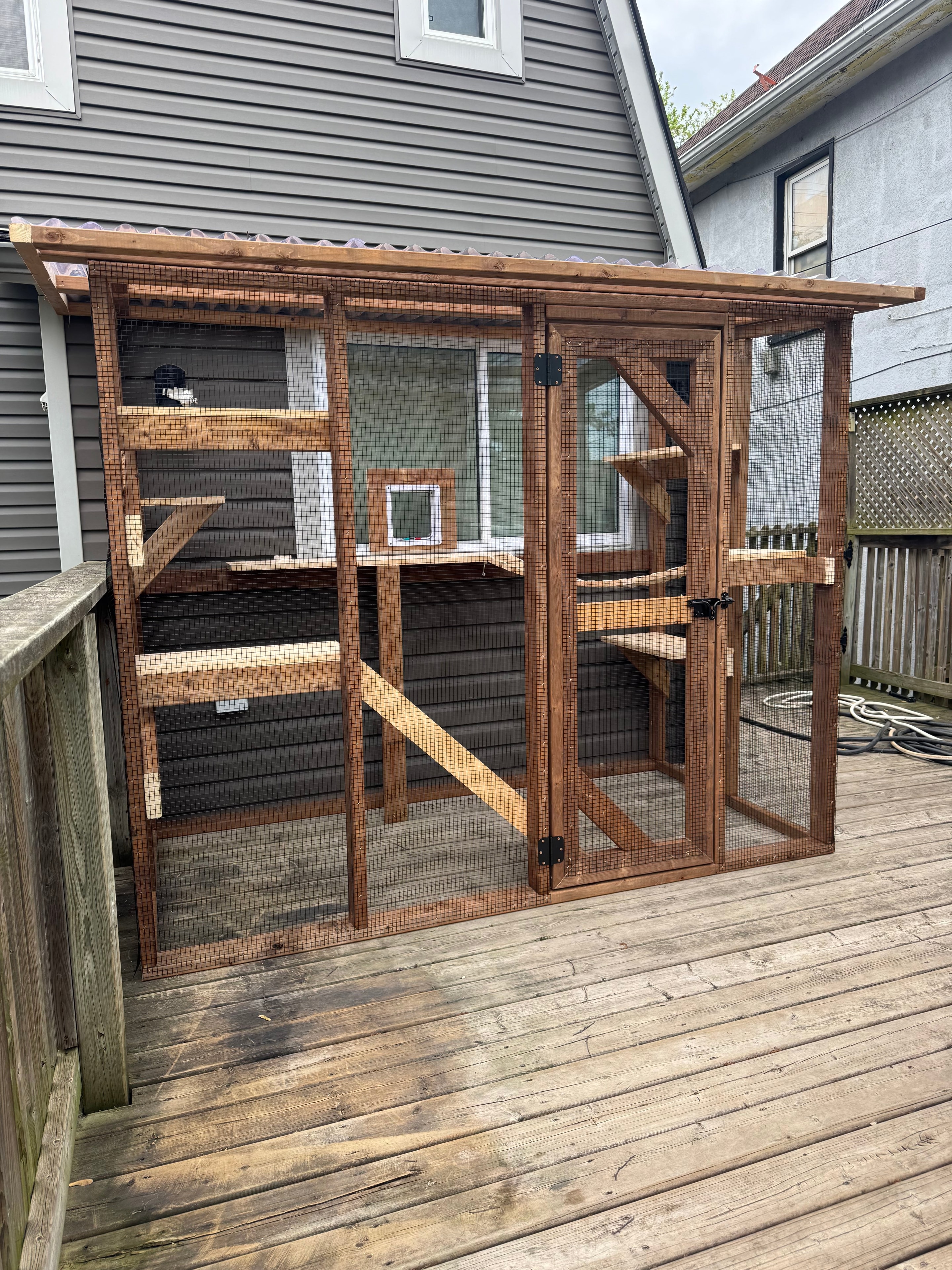 Pressure treated frame catio with cedar interior shelving