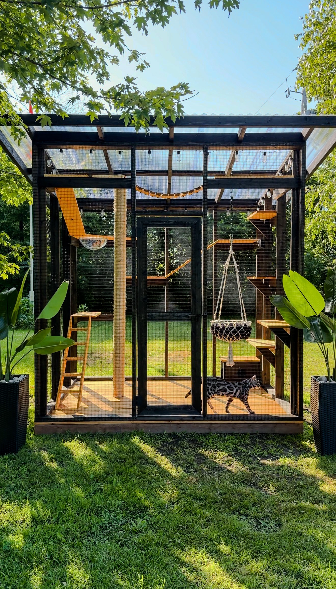 Custom cedar freestanding catio build