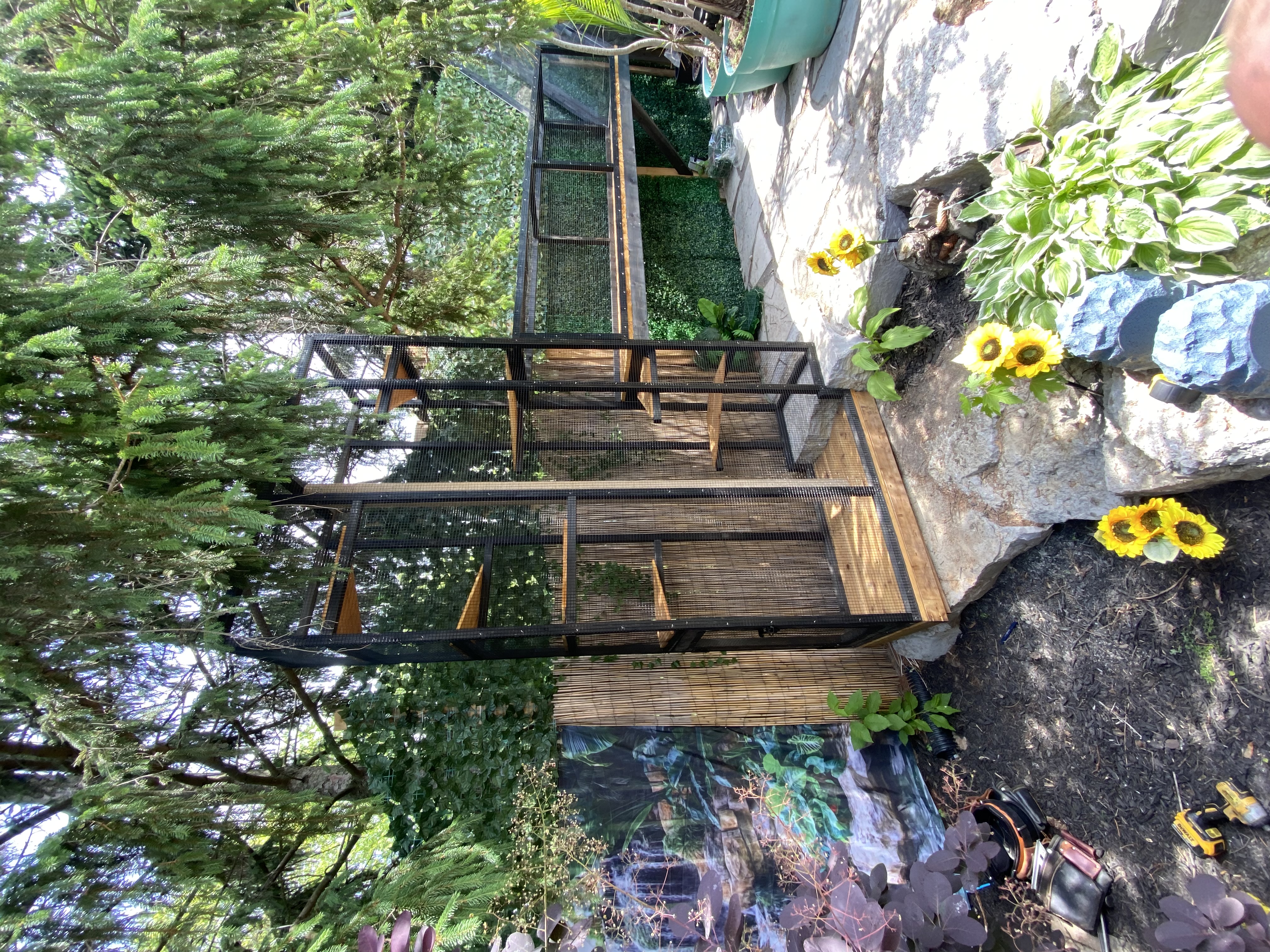 Overhead tunnel run catio system