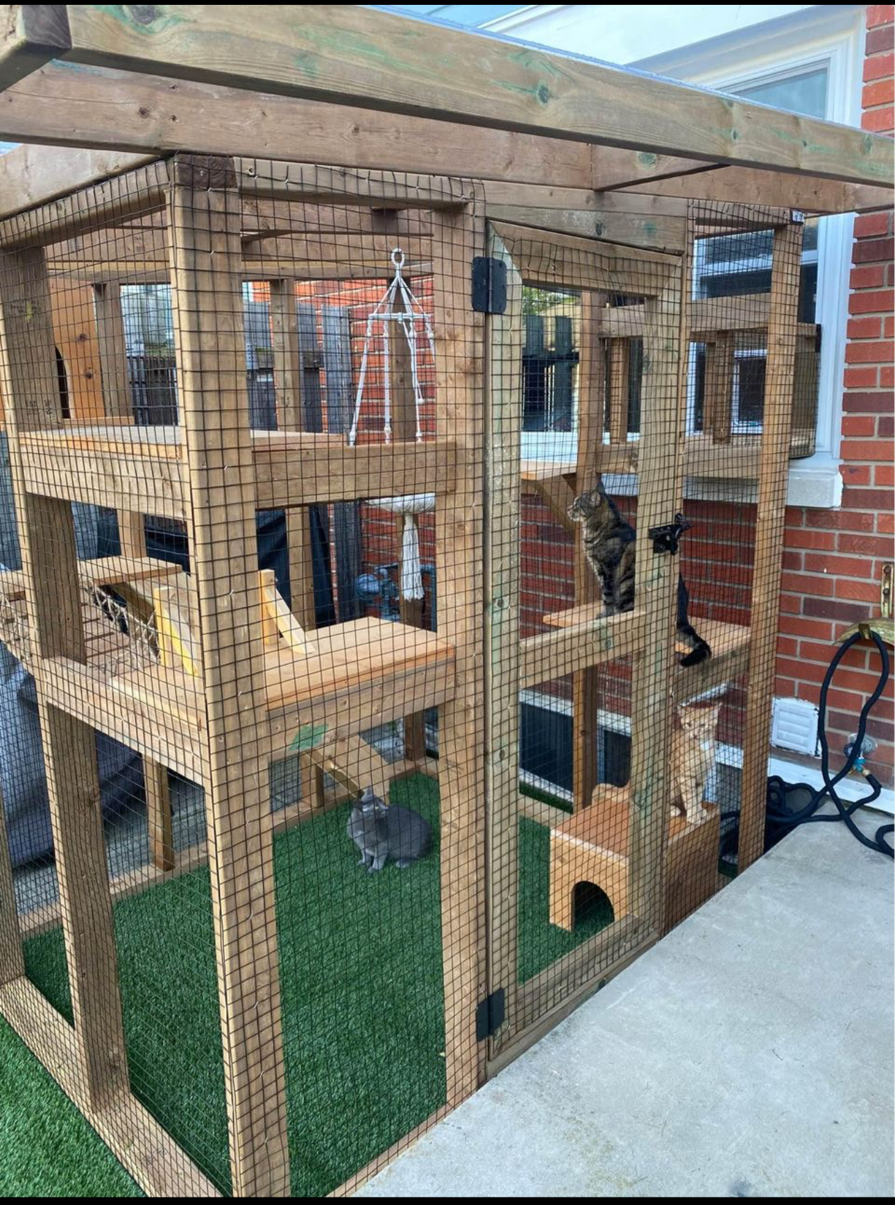 Large luxury catio with turf and platforms
